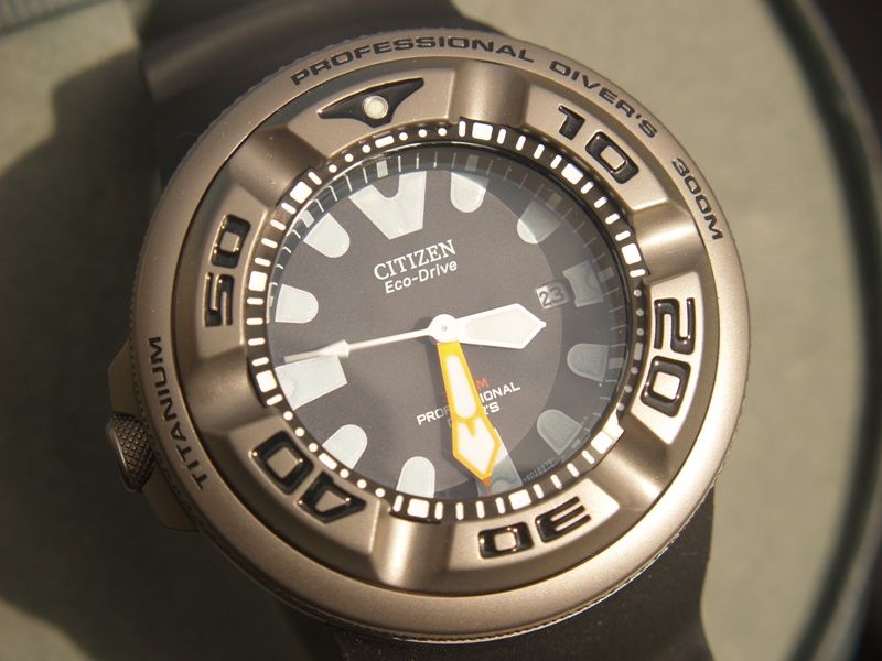 citizen ecozilla titanium for sale